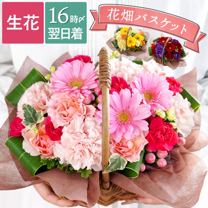 お花2