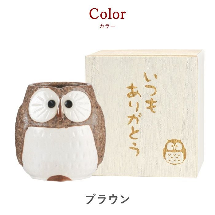 感謝の桐箱入り名入れふくろう湯呑み｜ギフトショップ「FLEGRE