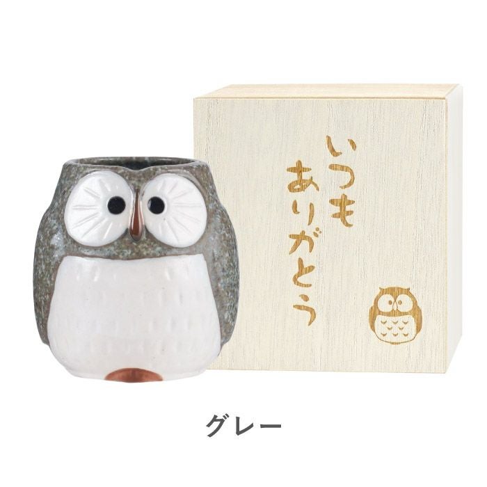 感謝の桐箱入り名入れふくろう湯呑み｜ギフトショップ「FLEGRE
