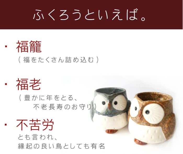 名入れ 美濃焼 福来る開運ふくろうマグ ペアセット ＜300ml＞｜ギフト