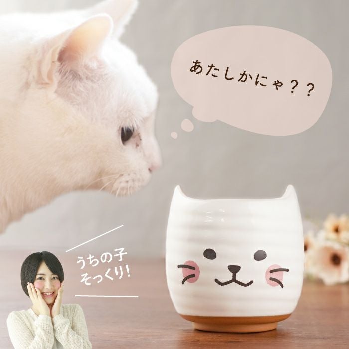 肉球マーク＋名入れOK！日本製 にゃんこ湯呑み｜ギフトショップ