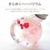 名入れマイタンブラー＆ハーバリウムセット
