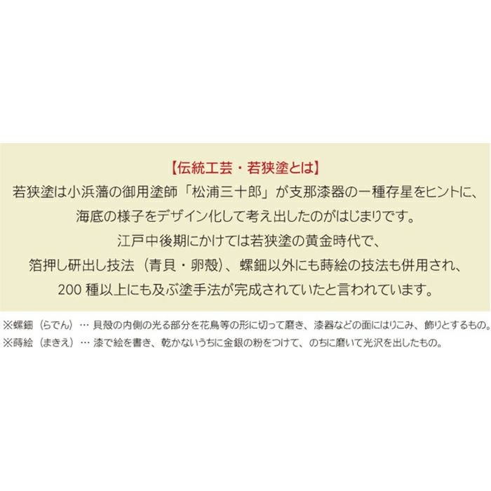 煌きあわび箸