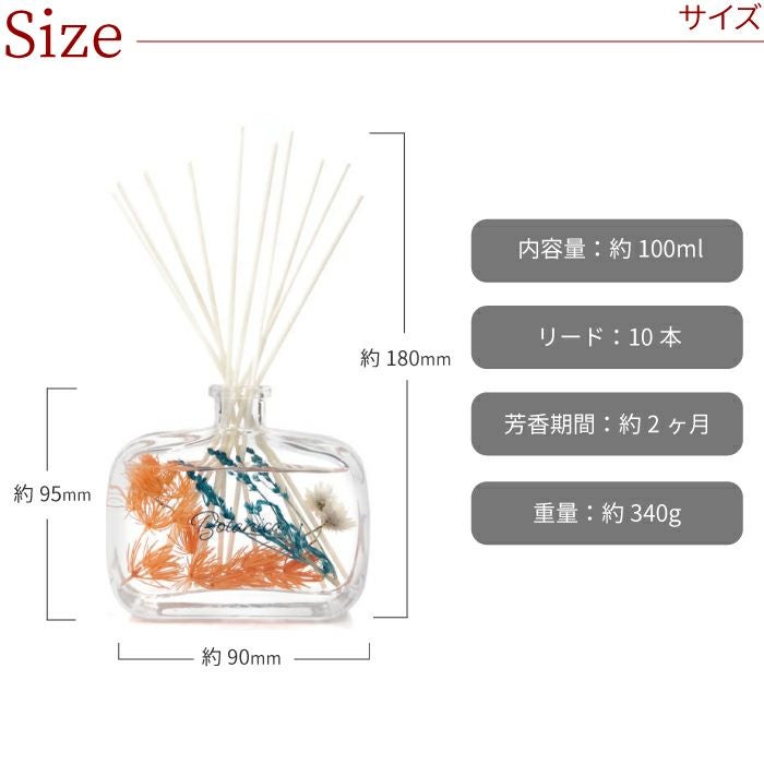 サイズ