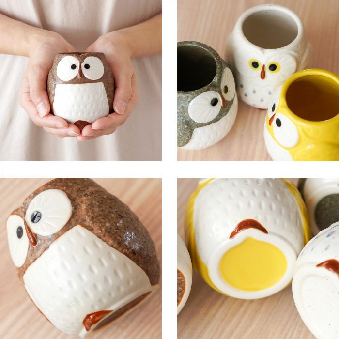 キッチン・食器 【新品】エマブリッジウォーター Owls フクロウ