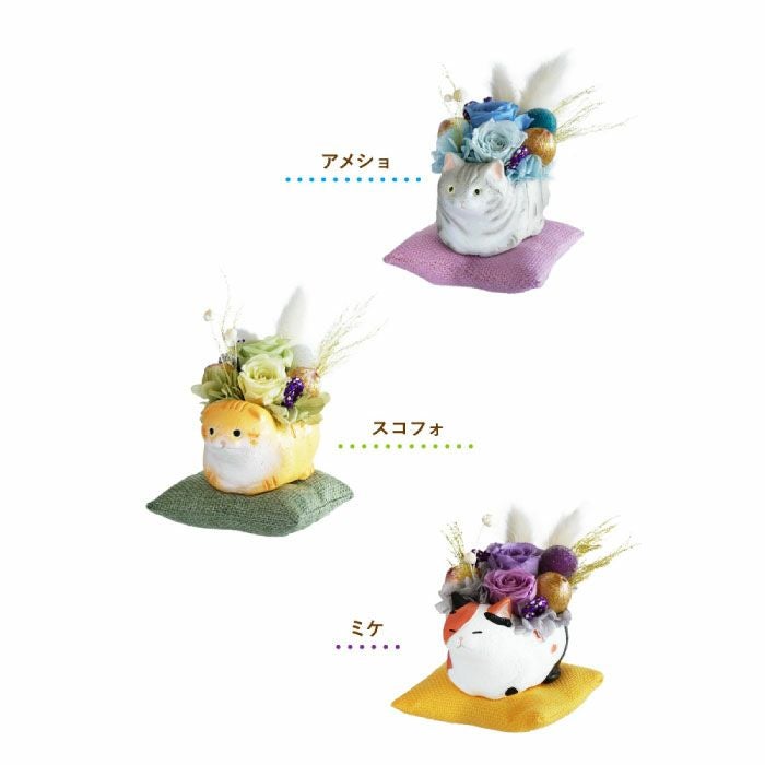 くつろぎ猫プリザ