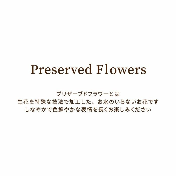 『フォトボックス』 プリザーブドフラワー