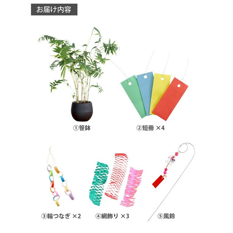 風鈴 短冊 飾り付き 七夕の笹飾り』 鉢植え｜ギフトショップ「FLEGRE