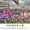 世界の椎名