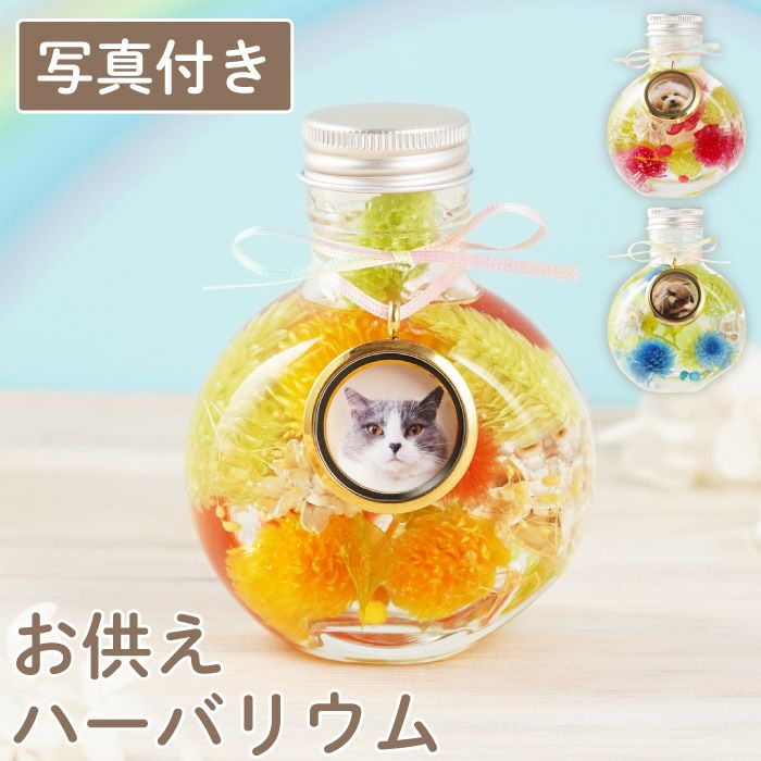 ペットちゃんのふわふわメモリーハーバリウム