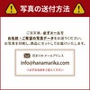 写真の送付方法