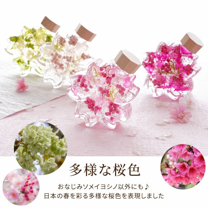 サクラノカタチ 桜ハーバリウム』｜ギフトショップ「FLEGRE（フレグレ）」