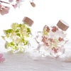サクラノカタチ 桜ハーバリウム
