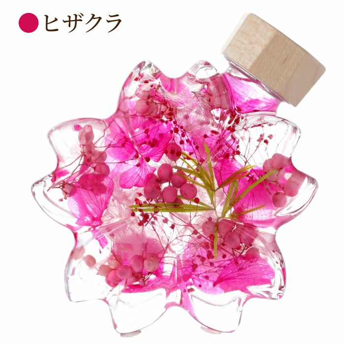サクラノカタチ 桜ハーバリウム』｜ギフトショップ「FLEGRE（フレグレ）」