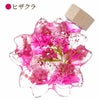 サクラノカタチ 桜ハーバリウム