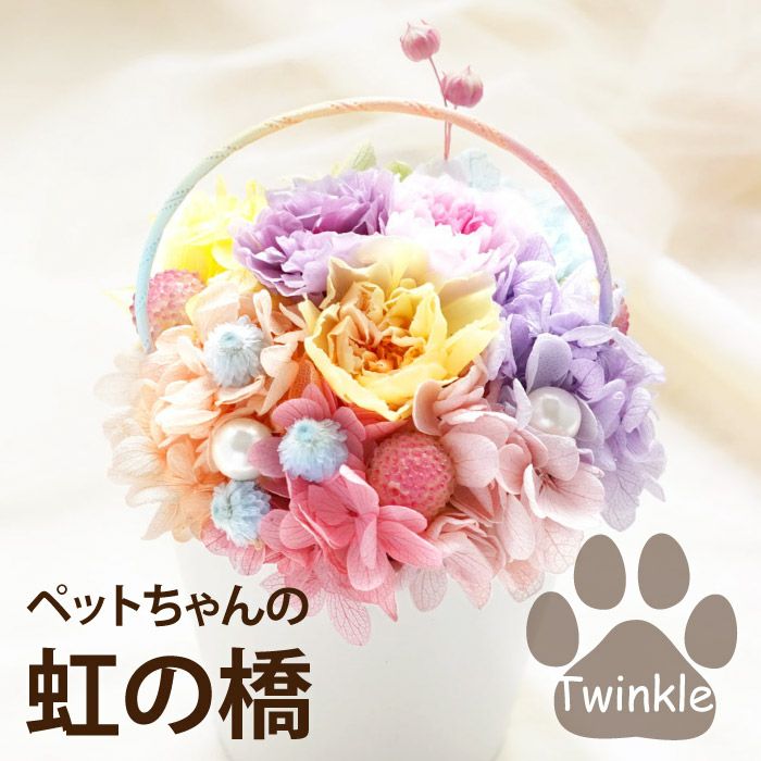 ペットちゃんの虹の橋 Twinkle トゥインクル』 お供え プリザーブド