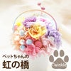 ペットちゃんの虹の橋 Twinkle トゥインクル
