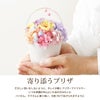ペットちゃんの虹の橋 Twinkle トゥインクル
