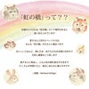 ペットちゃんの虹の橋 お供え花ドーム