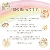 ペットちゃんの虹の橋ひまわり パルフェ