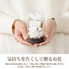 お供え花ドームとお線香セット プリザーブドフラワー