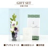 お供え花・ゆうか＆お線香セット