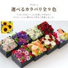サプライズ ボックスフラワー Mサイズ 生花