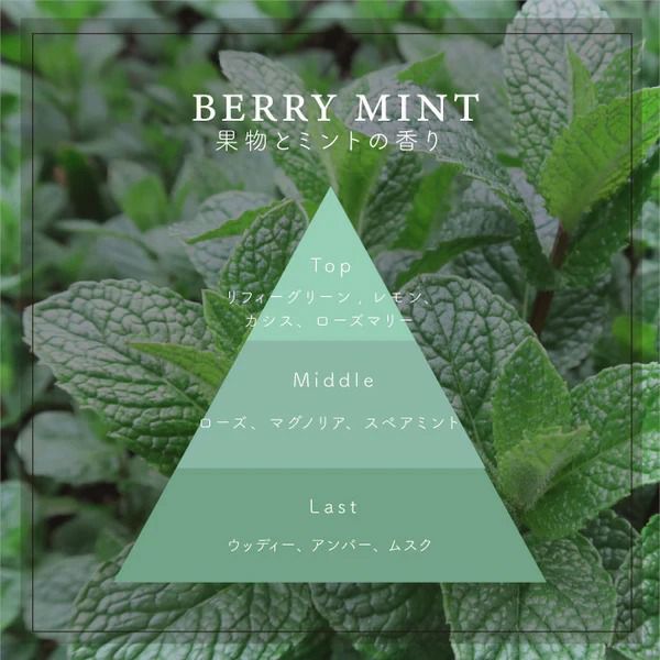 果実とミントの香り