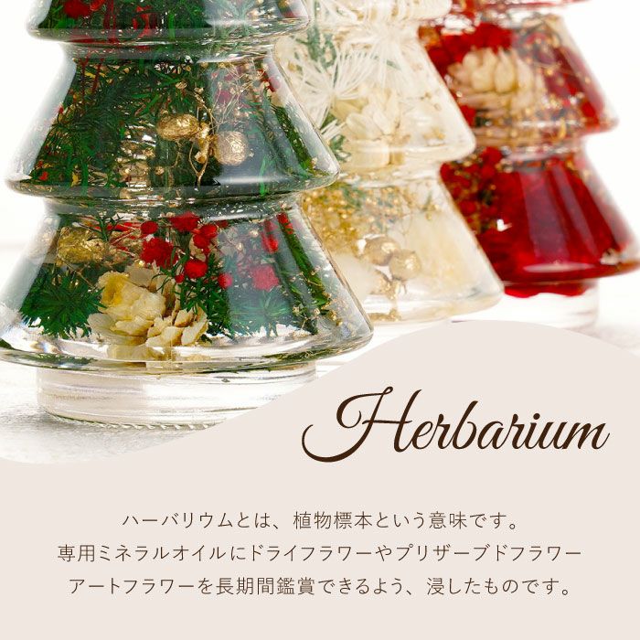 クリスマスツリーボトル』ハーバリウム｜ギフトショップ「FLEGRE