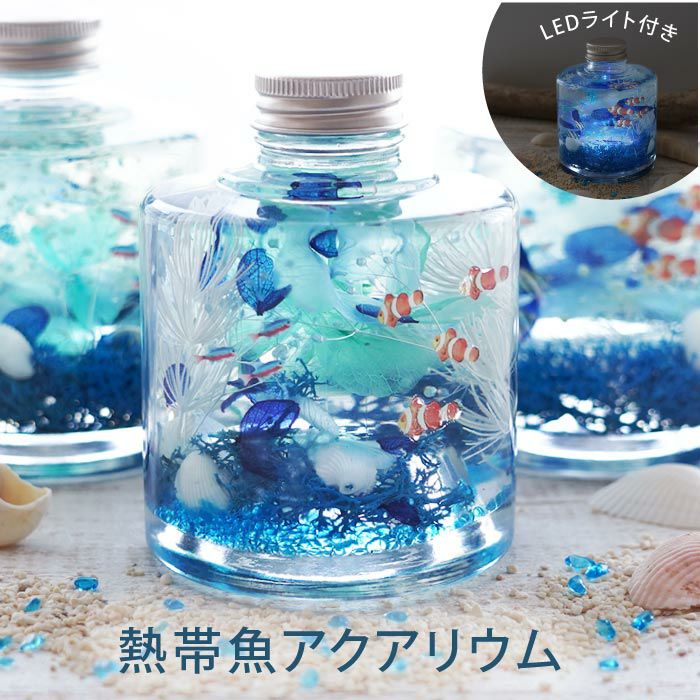 熱帯魚アクアリウム』 ハーバリウム｜ギフトショップ「FLEGRE