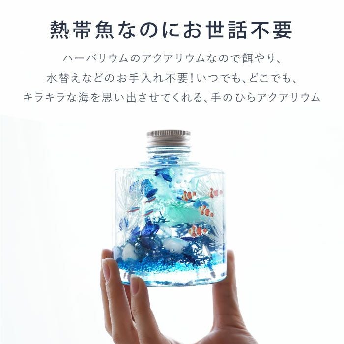 熱帯魚アクアリウム』 ハーバリウム｜ギフトショップ「FLEGRE