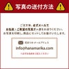 写真の送付方法