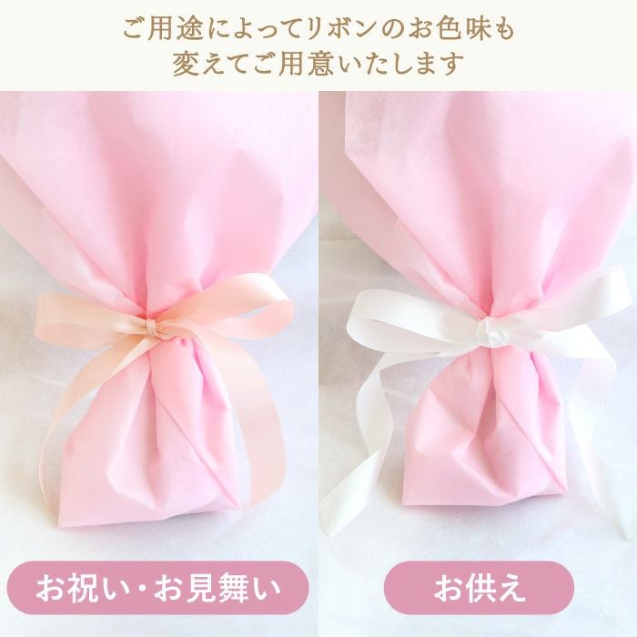 あの人が元気になれそうな花束 ・AB 生花