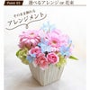 ペットちゃん 星になったあの子へ・AA お供え 生花