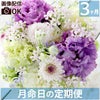 お花の定期便(月命日) 空コース3ヶ月