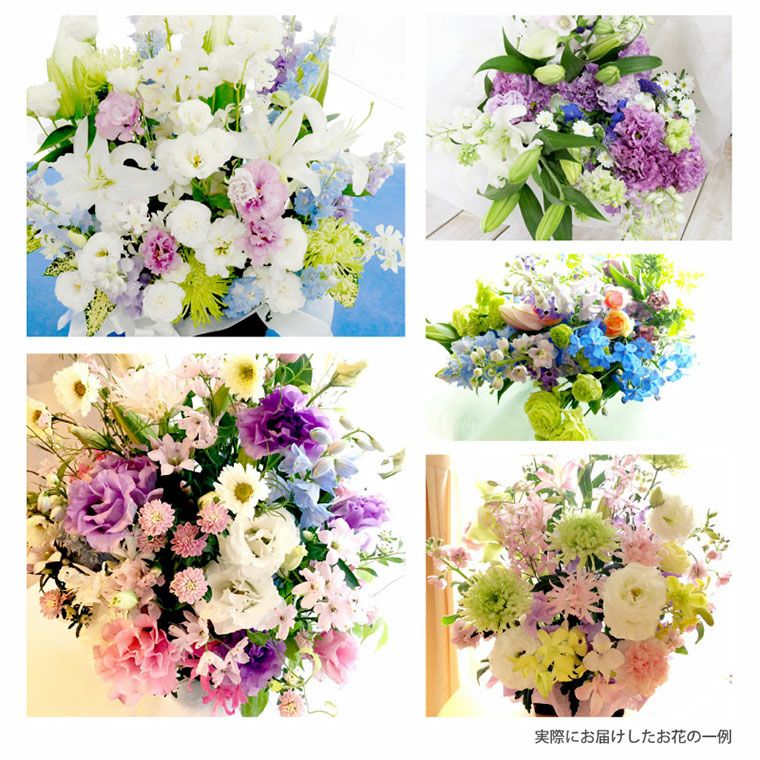 お花の定期便(月命日) 虹コース12ヶ月