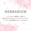 桜 ハーバリウム・Lサイズ