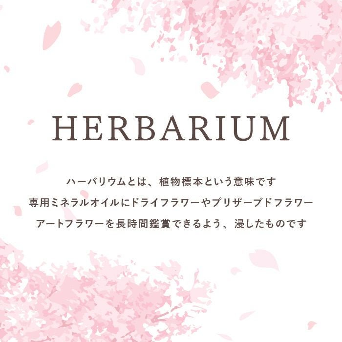 桜 ハーバリウム・Lサイズ