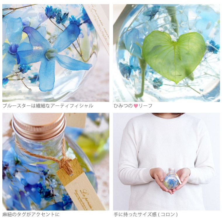 ブルースター ハーバリウム・Sサイズ』｜ギフトショップ「FLEGRE