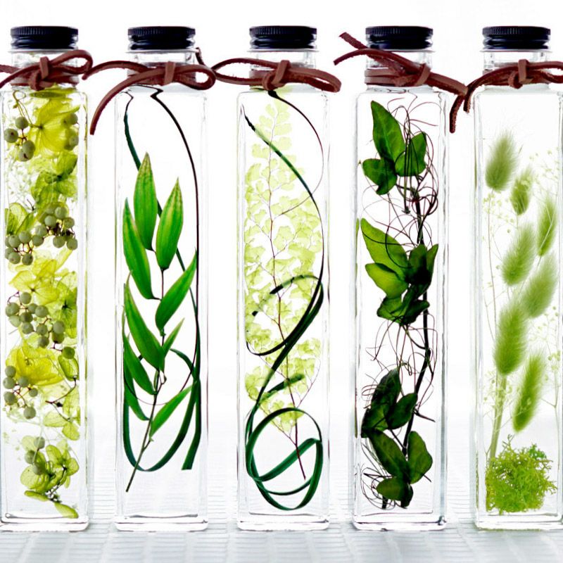 グリーンプランツ ハーバリウム』｜ギフトショップ「FLEGRE（フレグレ）」