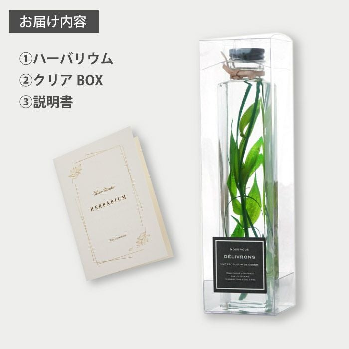 グリーンプランツ ハーバリウム』｜ギフトショップ「FLEGRE（フレグレ）」