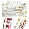 ボタニカル ハーバリウム ボールペン 替え芯付き