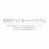 和風 ハーバリウム ボールペン 替え芯付き