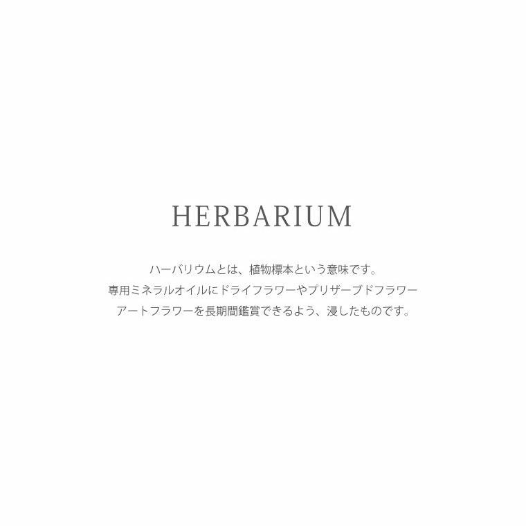 桜ハーバリウム ボールペン 替え芯付き