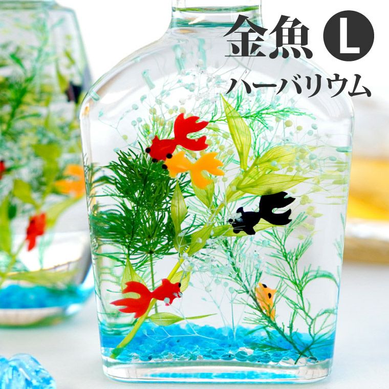 金魚ハーバリウム・Lサイズ』｜ギフトショップ「FLEGRE（フレグレ）」
