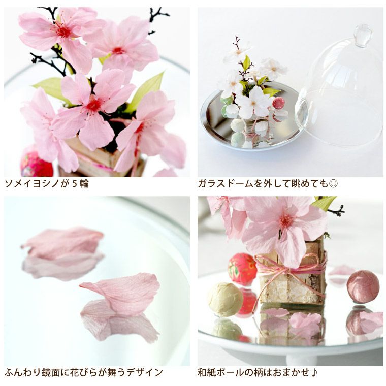 桜 ドーム』 プリザーブドフラワー｜ギフトショップ「FLEGRE（フレグレ）」