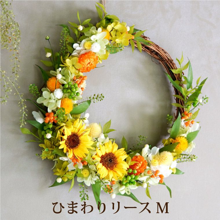 000000002330-02.jpg?size=l&w=