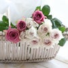 バラ好きクラブ 薔薇の定期便 お試し 1回 生花