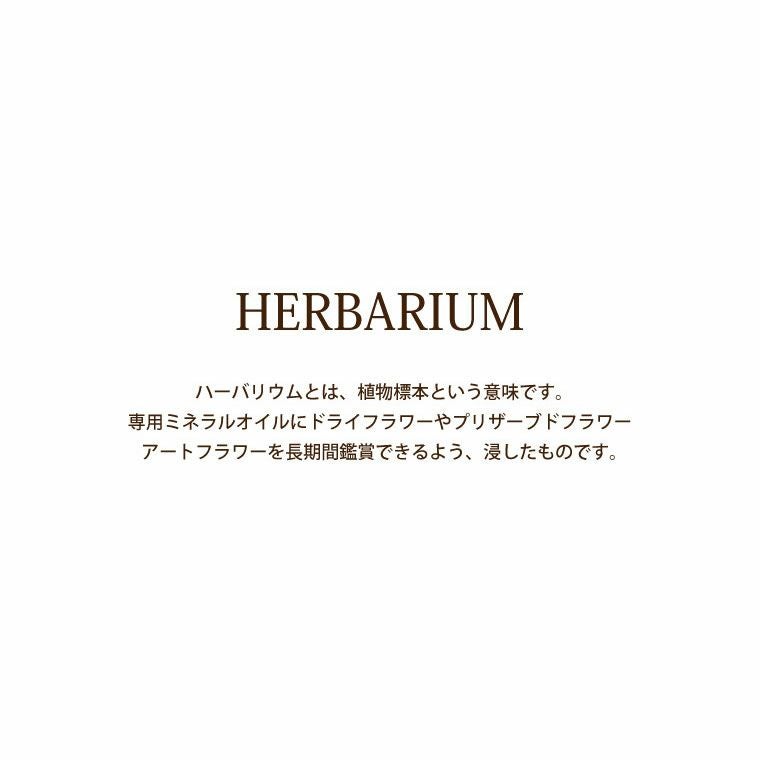 桜 ハーバリウム ボールペン ＆ カードケース セット 替え芯付き