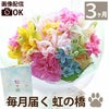 ペットちゃんの虹の橋 定期便 ふわふわコース 3ヶ月 Sサイズ